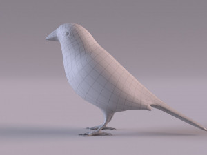Diamond Firetail Finch 3D Model