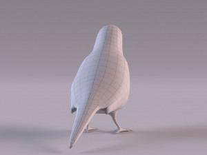 Diamond Firetail Finch 3D Model
