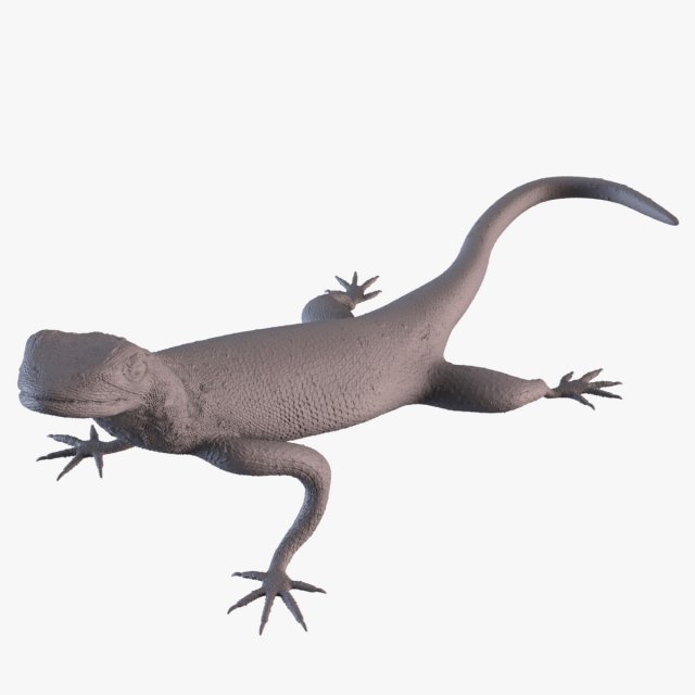Rock Agama printable 3D Baskı Modeli .c4d .max .obj .3ds .fbx .stl .blend 