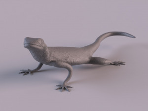 Rock Agama printable 3D Baskı Modeli