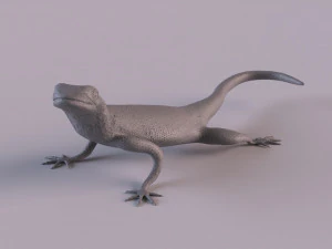 Rock Agama printable 3D Print Model