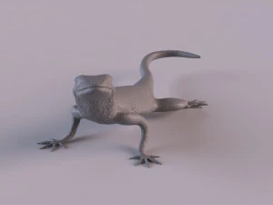 Rock Agama printable 3D Print Model