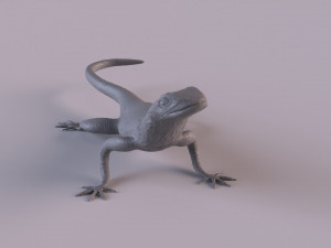 Rock Agama printable 3D Baskı Modeli