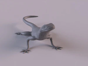 Rock Agama printable 3D Print Model
