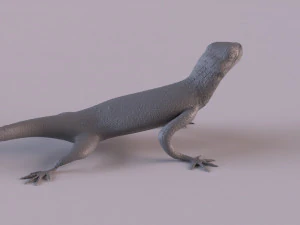 Rock Agama printable 3D Print Model