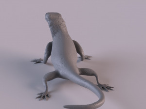 Rock Agama printable 3D Baskı Modeli