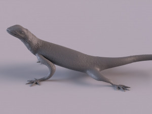 Rock Agama printable 3D Baskı Modeli