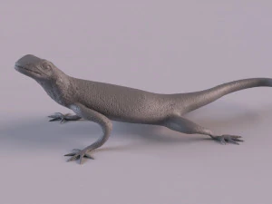 Rock Agama printable 3D Print Model