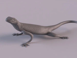 Rock Agama printable 3D Print Model