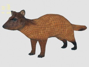 marten 3D Model