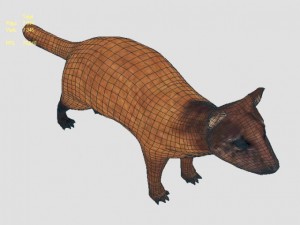 marten 3D Model