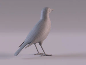 Pipit 3D Model