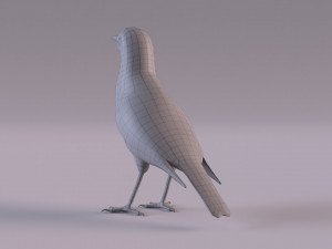 Pipit 3D 모델