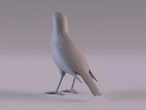 Pipit 3D Model