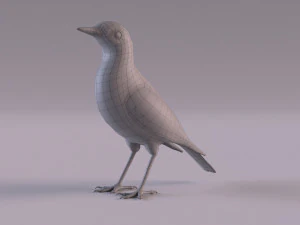 Pipit 3D Model
