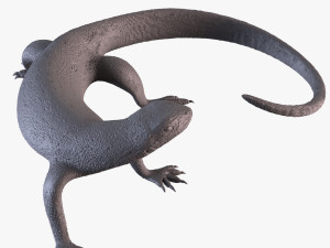 Monitor lizard Model do druku 3D