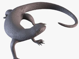 Varan Modèles 3D en vedette