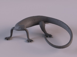 Monitor lizard 3D 프린트 모델