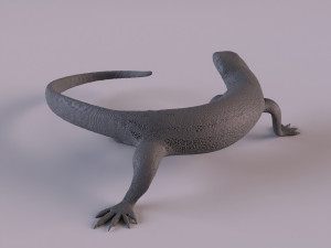 Monitor lizard 3D 프린트 모델