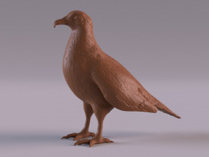 Vulture Model do druku 3D