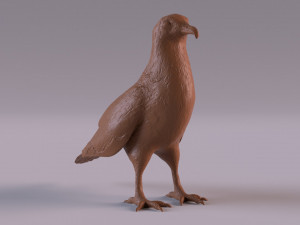 Vulture Modelo de Impressão 3D