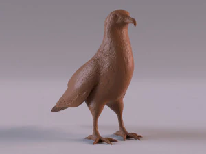 Vulture 3D Print Model