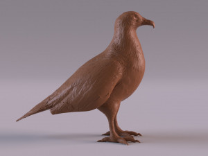Vulture Modelo de Impressão 3D