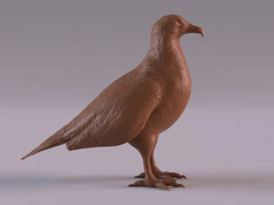 Vulture 3D Print Model