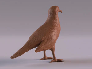 Vulture 3D Print Model