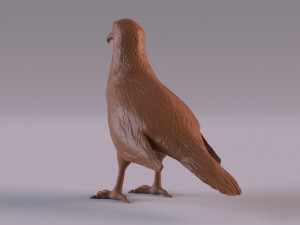 Vulture Modelo de Impressão 3D