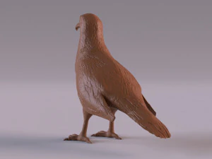 Vulture 3D Print Model