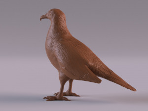 Vulture Modelo de Impressão 3D