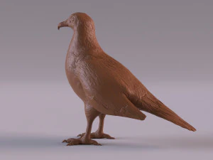 Vulture 3D Print Model