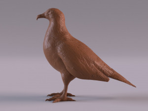 Vulture Modelo de Impressão 3D