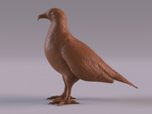 Vulture Modelo de Impressão 3D