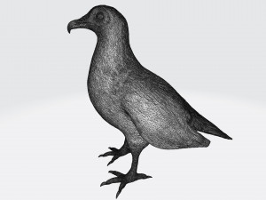 Vulture Modelo de Impressão 3D