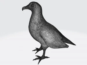 Vulture 3D Print Model