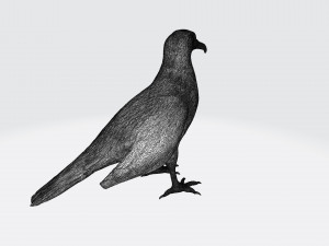 Vulture Modelo de Impressão 3D