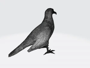 Vulture 3D Print Model