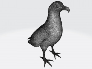 Vulture Modelo de Impressão 3D