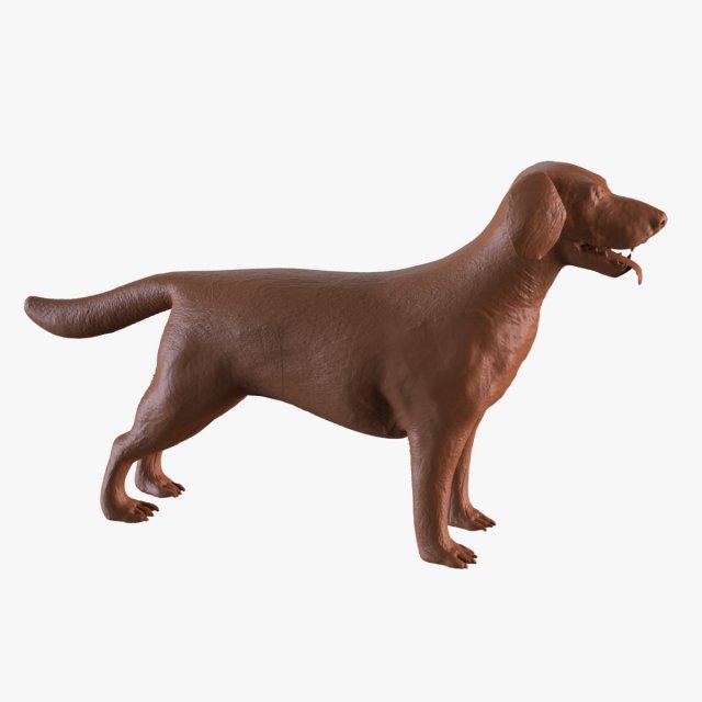 Labrador Modelo de Impressão 3D .c4d .max .obj .3ds .fbx .stl .blend 