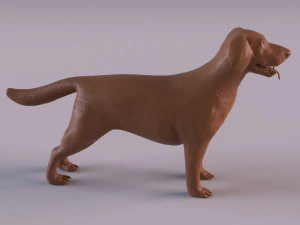 Labrador 3D Print Model