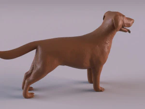 Labrador 3D Print Model