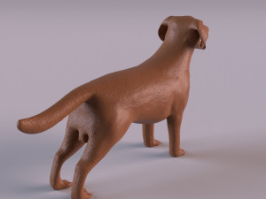 Labrador Modelo de Impressão 3D