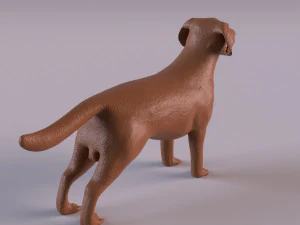 Labrador 3D Print Model