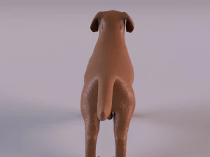 Labrador 3D Print Model