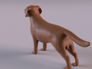 Labrador Modelo de Impressão 3D