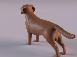 Labrador 3D Print Model