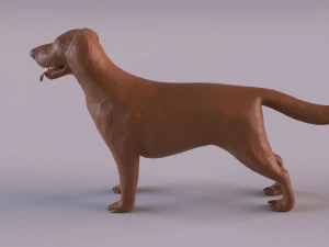 Labrador 3D Print Model