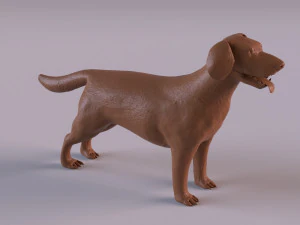 Labrador 3D Print Model